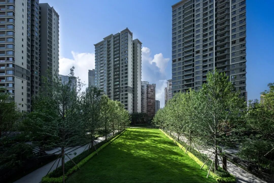 W020251104553424132470 W020251104553424132470